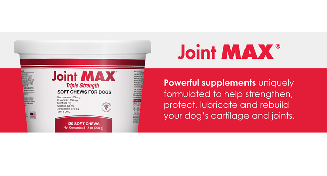 Save 20% on Joint MAX Triple Strength - Elevate Your Pet's Joint Health Today!