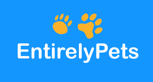 Save 20% This 4th of July with EntirelyPets - Use Code