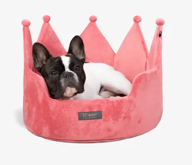 Unlock $50 Off at NANDOG Pet Gear with a $150+ Purchase