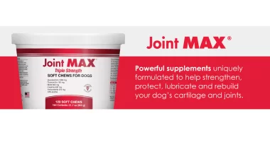 Save 20% on Joint MAX Triple Strength - Elevate Your Pet's Joint Health Today!