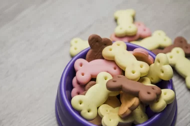 How to Find the Best Deals on Soft & Chewy Pet Treats