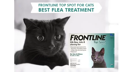 Save 15% on Frontline Top Spot for Cats!