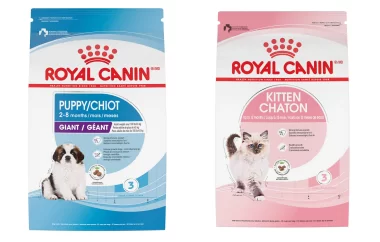 Save 15% on Your First Auto-Ship Purchase with Royal Canin