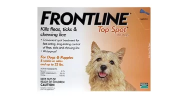 Frontline Top Spot for Dogs - Buy 1 Get 1 Free!