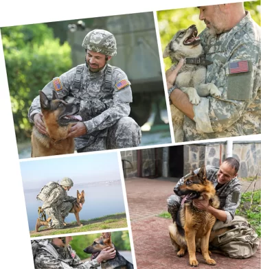 Save 20% on Pet Transport with CitizenShipper's Military Discount!