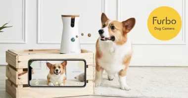 Save Over 50% on Furbo Dog Cameras