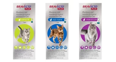 Huge Savings on Bravecto Plus for Cats - Up to 28% OFF!