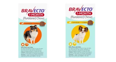 Save up to 30% on Bravecto 1-Month Chew for Dogs at BudgetPetCare.com