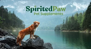 Celebrate National Dog Day with 25% Off at Spirited Paw