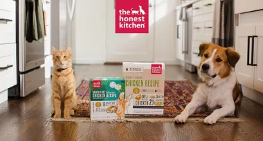 The Honest Kitchen Coupon Codes