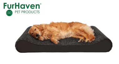 Furhaven Coupon Code