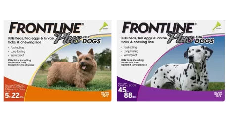 Get 15% Off on Frontline Plus, Capstar, and Advantage + Free Shipping on All Orders Across the USA