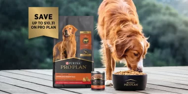 Save $6 on Purina Pro Plan Dog Food with Exclusive Coupons