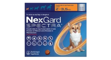 Nexgard Plus Chews for Dogs at 20% Extra Discount