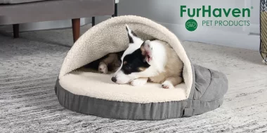 $5 Off Pet Beds at FurHaven!